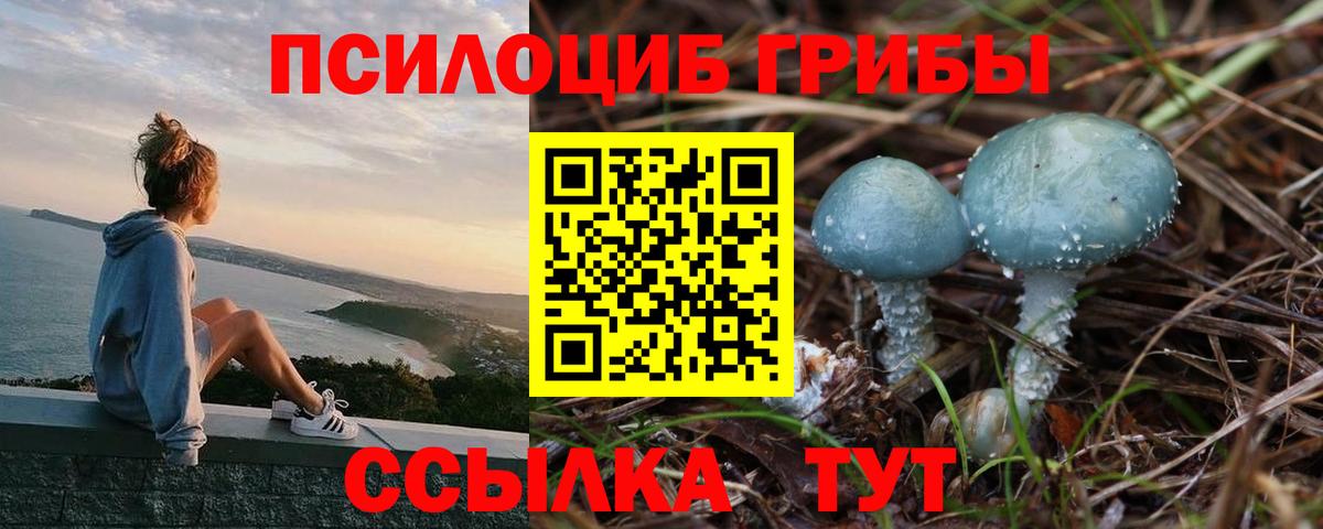 Бахчисарай  Галлюциногенные грибы MAGIC MUSHROOMS  Псилоцибиновые грибы Psilocybine cubensis  Вход с VPN 