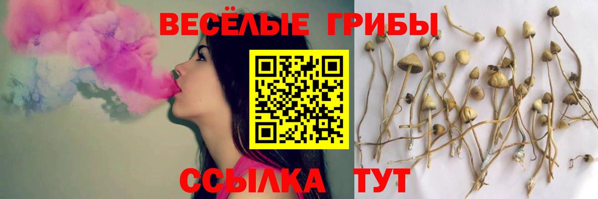 Галлюциногенные грибы мухоморы Бахчисарай
